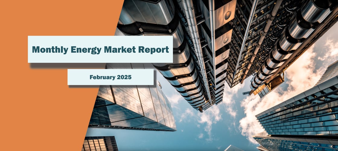 Market Update Newsletter Banner 2025 February 1