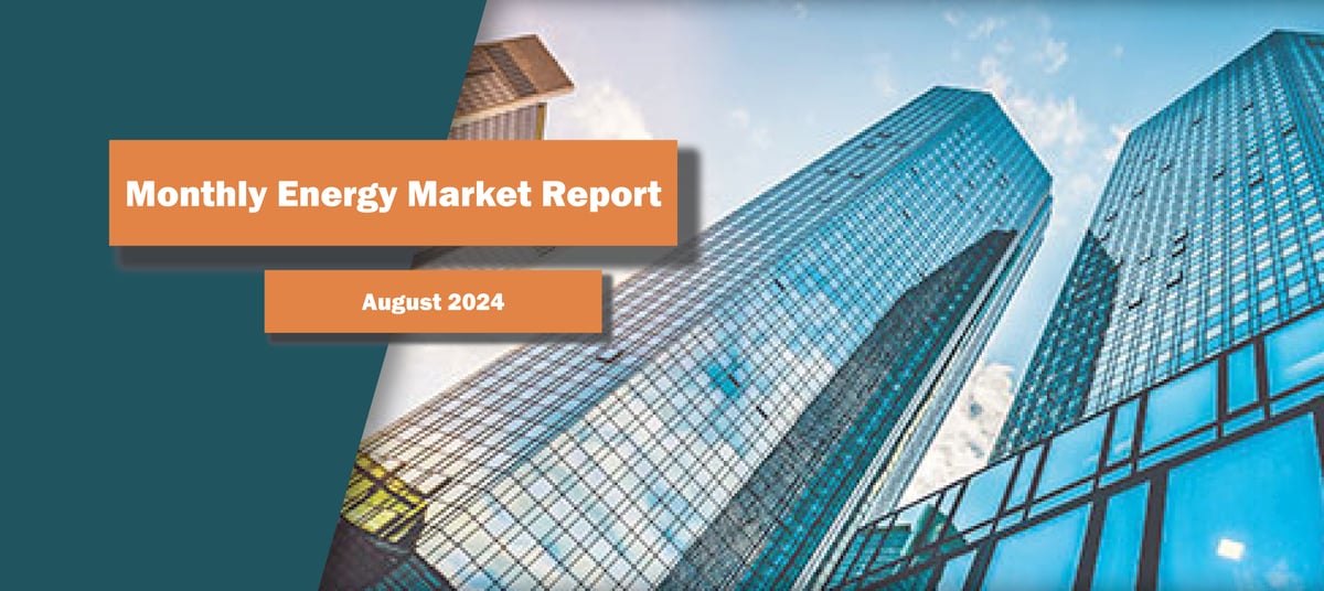 Market Update Newsletter Banner August 2024