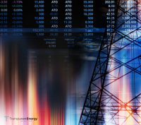 Power Industry MSA for Newsletter